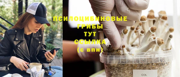 бошки Балахна