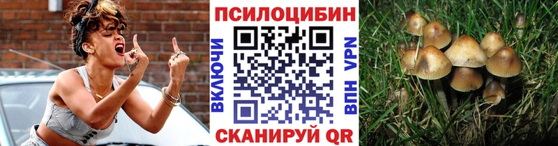 Псилоцибиновые грибы GOLDEN TEACHER Шумерля